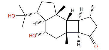 Hipposponlachnin A